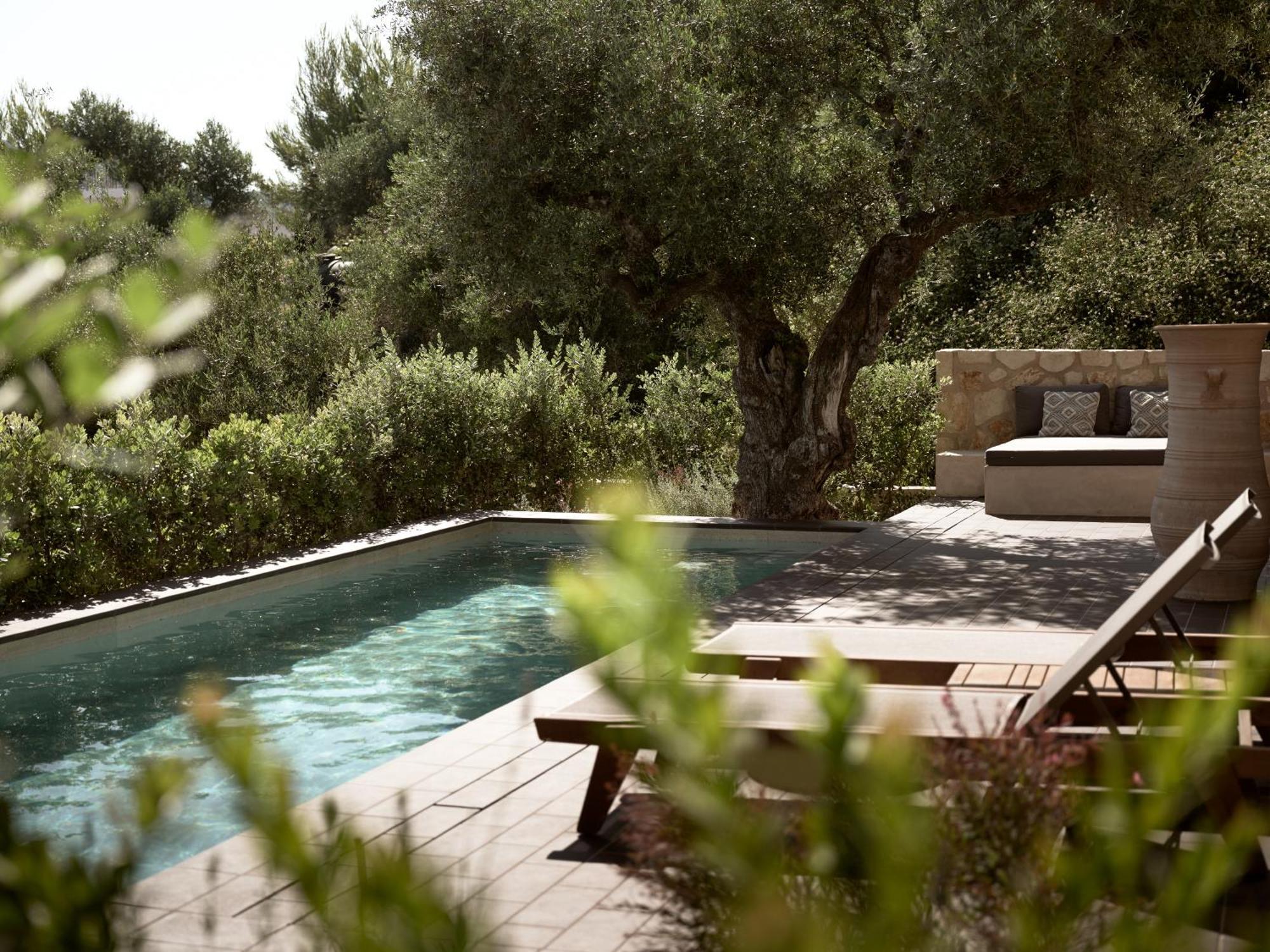 Zayn Luxury Villas, A Serene Escape, By Thinkvilla Tsilivi  Exteriör bild