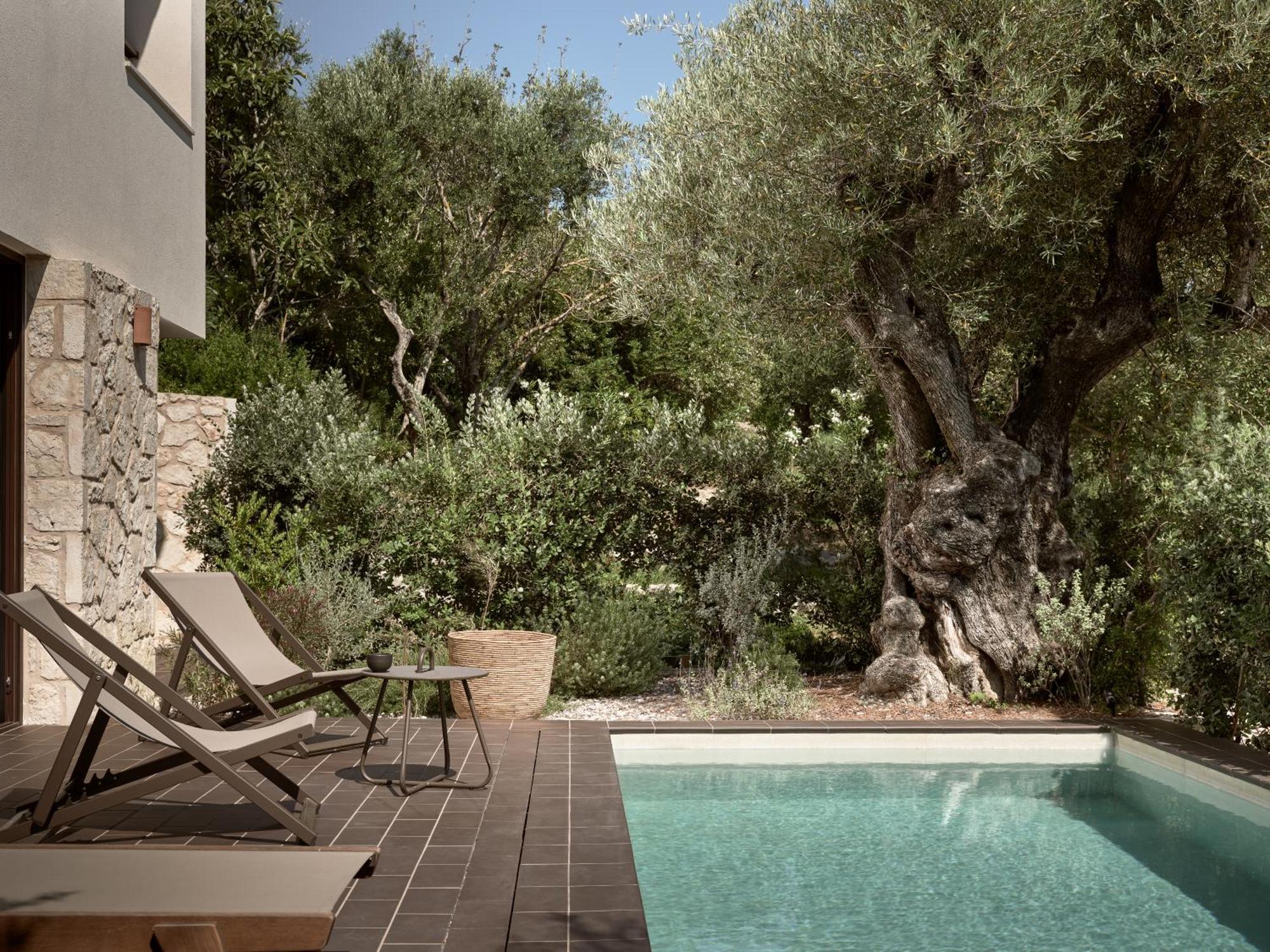Zayn Luxury Villas, A Serene Escape, By Thinkvilla Tsilivi  Exteriör bild